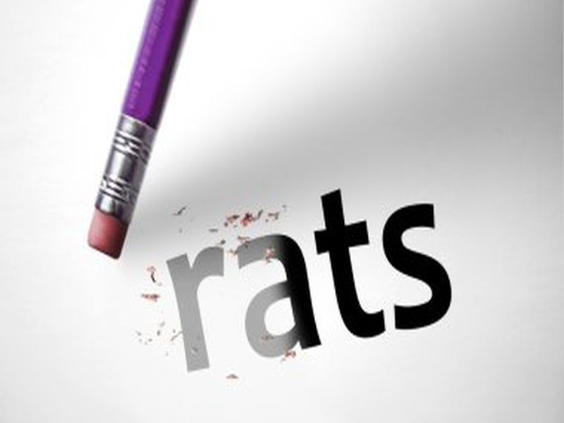 Pest Control Innovations for Rat Eradication