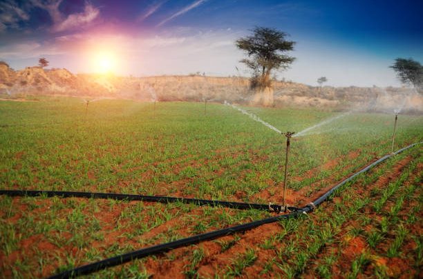 Smart Irrigation Systems: Leveraging Real-Time Data for Optimal Water Usage