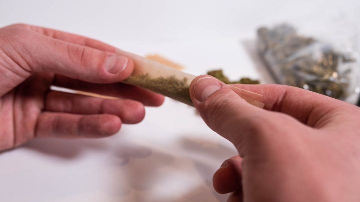 Crafting Your Perfect Experience The Allure of HHC Pre-Rolls